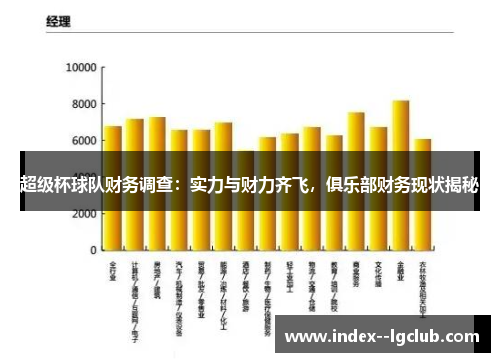 超级杯球队财务调查:实力与财力齐飞,俱乐部财务现状揭秘 超级杯球队财务调查:实力与财力齐飞,俱乐部财务现状揭秘
