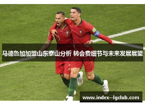 马德鲁加加盟山东泰山分析 转会费细节与未来发展展望