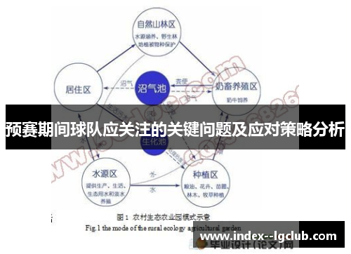 预赛期间球队应关注的关键问题及应对策略分析